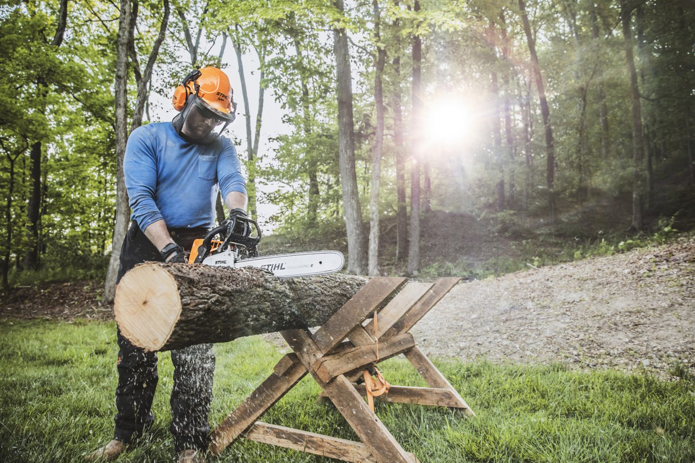 SCIE À CHAINE STIHL MS250 – Image 4
