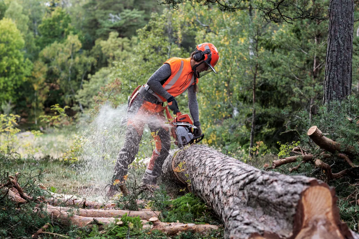 SCIE À CHAINE HUSQVARNA 550XP MARKII – Image 3